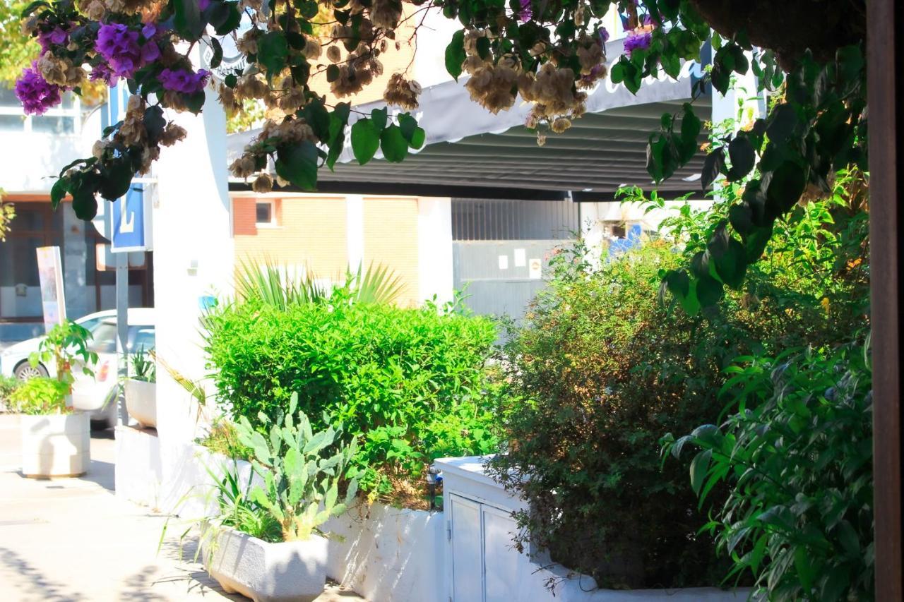 טורגואדיארו Hotel Patricia מראה חיצוני תמונה