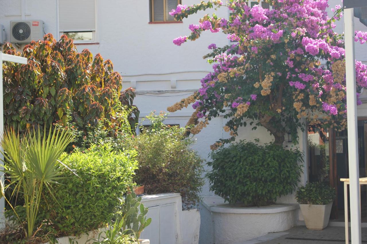 טורגואדיארו Hotel Patricia מראה חיצוני תמונה